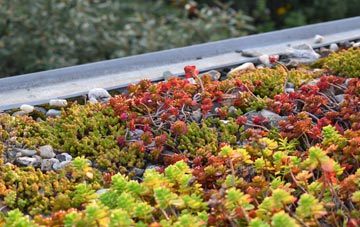the cost of Lower Elkstone green roof installation